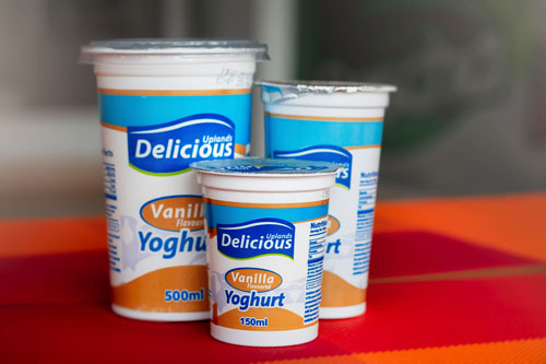 Delicious Vanilla Yoghurt